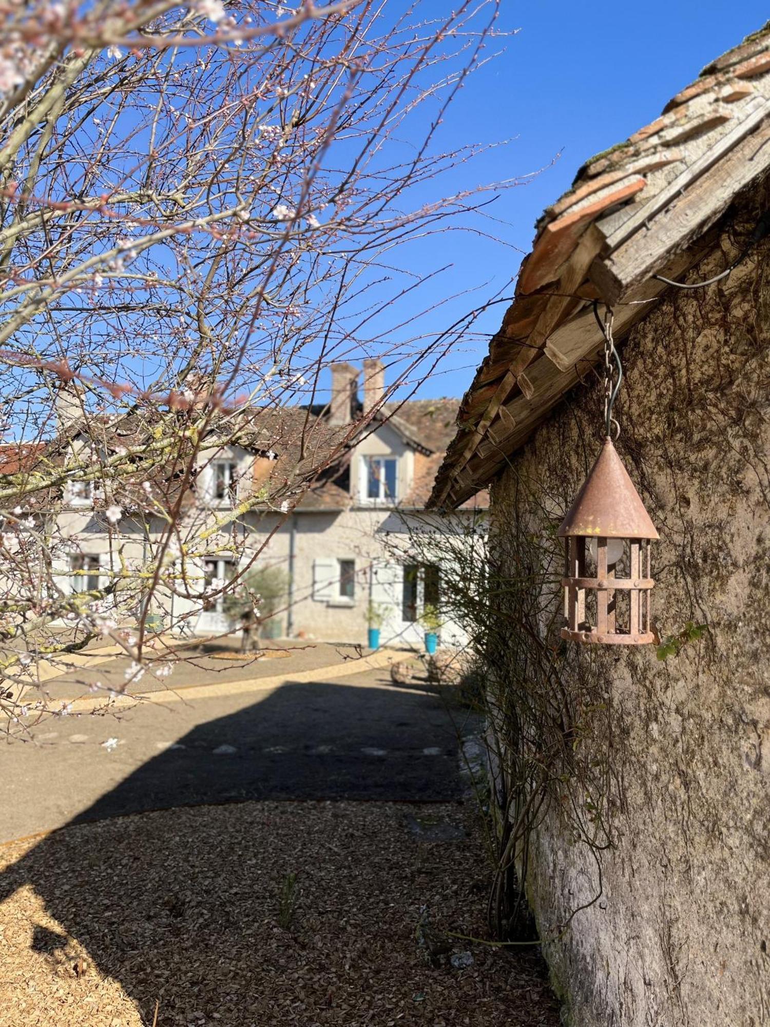 Nuits De Loire -Entre Blois Et Chambord Bed & Breakfast Vineuil  Bilik gambar